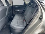 LEXUS NX 450h + Business E-FOUR