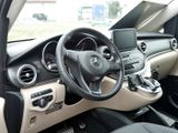 MERCEDES-BENZ V 250 MARCO POLO EDITION 4MATIC AMG KÜCHE AHK
