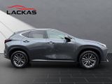 LEXUS NX 350h Business*360°*TOTW*PDC*SITZLÜFTUNG*