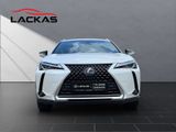 LEXUS UX 250h *lenkH*sitzH*Kamera*