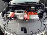 LEXUS NX 300 h E-Four Luxury *HUD*PANO*360*
