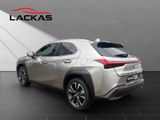 LEXUS UX 250h*STYLE*1HD*CARPLAY*SHZ* 15J-GARANTIE*
