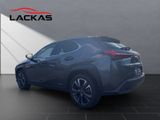 LEXUS UX 250 h Executive Line