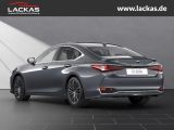 LEXUS ES 300 h*BUSINESS*SOFORT*SCHIE BEDACH*15J-GARANT