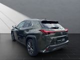 LEXUS UX 250h*F-SPORT-D*1.HD*ALLW.REIF*NAVI*SHZ*