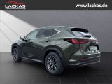 LEXUS NX 350 h 15 Jahre Garantie Exec utive + Interieu