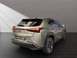 LEXUS UX 250h*STYLE*1HD*CARPLAY*PDC 15J-GARANTIE