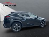 LEXUS UX UX Crossover Style Edition 250h Frontantrieb