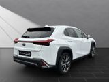 LEXUS UX 250h*F-SPORT-D.*1.HD*ALLW.REIF** 15J-GARANTIE