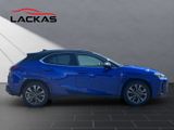 LEXUS UX 300h F Sport HuD+LEDER+MEMORY+SITZKLIMA