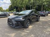 LEXUS NX 450h +Executive Line E-Four Interieur+Techno.