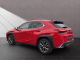 LEXUS UX 250h F-Sport