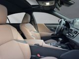 LEXUS ES 300 300h Business Line