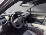 LEXUS UX 250H*SCHECKHEFT*TOTW*LEDER*