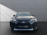 LEXUS UX 250h*EXECUTIVE*PANO*PREMIUM*1HD*PANO* HUD*