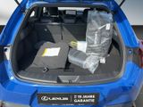 LEXUS UX 300h F-SPORT-D.*SOFORT *15JH-GARANTIE*