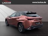 LEXUS UX 300h F-Sport Navi LED ACC Apple CarPlay