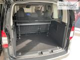 FORD Tourneo Connect Titanium Allwetterreifen AHK Leder Digitales Cockpit ACC Apple CarPlay