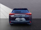 LEXUS UX 250h*1HD*SHZ*ALLW.* 15J-GAARANTIE