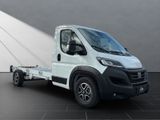 FIAT Ducato Maxi 35L5H1 FAHRGESTELL 180PS AUTOMATIK N