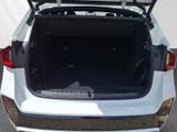 BMW X1 xDrive30e M Sport h&k AHK HUD adapt. LED