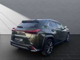 LEXUS UX 250h F-SPORT Design ALLWETTER+1.Hand