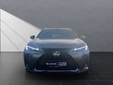 LEXUS UX 250h F-SPORT Design ALLWETTER+1.Hand