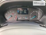 FORD Fiesta Titanium 1.0 EcoBoost ACC SHZ LED Privacy Scheinwerferreg. Apple CarPlay Android Auto