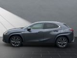 LEXUS UX 250 h F SPORT