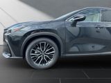 LEXUS NX 350h 350h Business Line *15J Garantie*