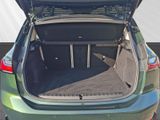 BMW 220 Active Tourer i Panorama h/k Sportsitze adapt. LED