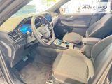 FORD Kuga Plug-In Hybrid ST-Line 360 Kamera Matrix-LED