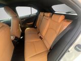 LEXUS UX 250 h F-Sport Design NAVI+CARPLAY+LENKRADH.