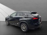 LEXUS NX 300 h*4x4*EXECUTIVE*AHK*ALLW.* 15J-GARANTIE