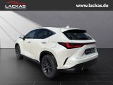 LEXUS NX 350 h 243 PS ** 15Jahre Gara ntie ** Connect 