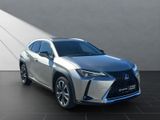 LEXUS UX 250h*STYLE*1HD*ALLW.*VELOUR* 15J-GARANTIE*
