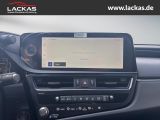 LEXUS ES 300 h*BUSINESS*SOFORT* TAXI-PAKET