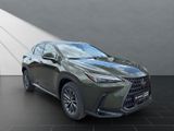 LEXUS NX 350h h 243 PS Executive Inter ieur Paket + Te