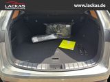 LEXUS NX 350h h 243 PS Executive Inter ieur Paket + Te