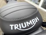 TRIUMPH Speed 400 Roadster-Fahrwerk+ABS