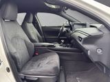 LEXUS UX 250h *lenkH*sitzH*Kamera*