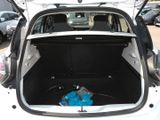 RENAULT ZOE Evolution R135  KAUF-BATTERIE+NAVI+PDC+SHZ+LHZ