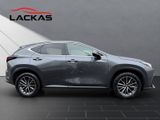 LEXUS NX 350h Business*360°*TOTW*PDC*SITZLÜFTUNG*