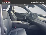 LEXUS ES 300 H*BUSINESS*LEDER*EL.SIT ZE*SCHIEBEDACH*