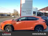 LEXUS NX 300 h E-Four F-Sport*CARPLAY *LEDER*LED*HUD*