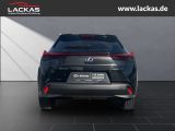 LEXUS UX 250h 250 h 250h*LED*KAMERA* TOP*TWW*DAB*SERVI