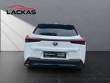 LEXUS UX 300 h F-Sport Design Technologie-Paket