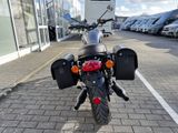 TRIUMPH Bonneville T120 Black 1. Hand Wartung neu