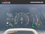 LEXUS LBX Basis*1.5*KOMFORT-PAK.*SHZ *PDC*15J-GARANTIE