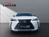 LEXUS UX 250 h*EXECUTIVE*HUD*LEDER*SCHIEBEDACH